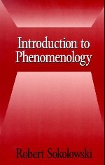 Introduction to Phenomenology