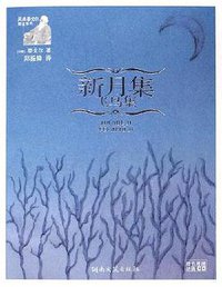 新月集·飞鸟集 (湖南文艺出版社 2006)