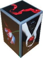 暮光之城 月食（精装）