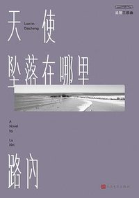 天使坠落在哪里 (人民文学出版社 2019)