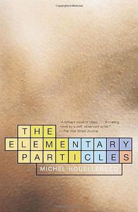 The Elementary Particles