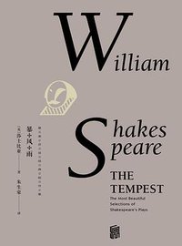 暴风雨 (未读·文艺家·北京联合出版公司 2016)