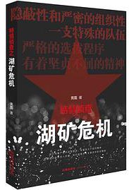 特情侦查之湖矿危机