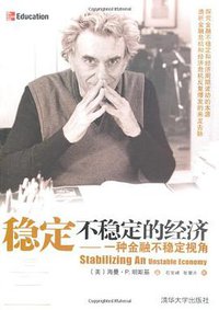 稳定不稳定的经济 (清华大学出版社 2010)