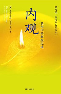 内观 (海南出版社 2009)