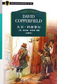 大卫·科波菲尔 (北京大学 2006)