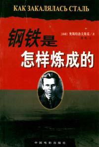 钢铁是怎样炼成的 (中国电影出版社 2003)