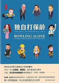 独自打保龄 (中国政法大学出版社 2018)