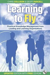 Learning to Fly, with Free CD-ROM (Capstone 2004)