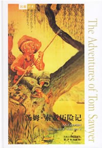 汤姆·索耶历险记