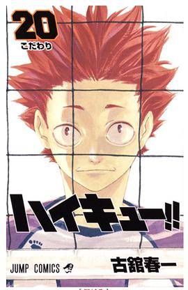 ハイキュー!! 20