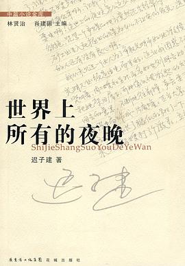 世界上所有的夜晚