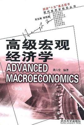 高级宏观经济学