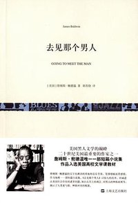 去见那个男人 (上海文艺出版社 2015)