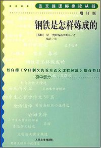 钢铁是怎样炼成的 (人民文学出版社 1995)