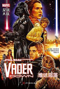 星球大战：维达陨落 (四川美术出版社 2016)