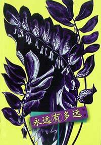 永远有多远 (花山文艺出版社 2002)