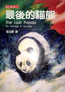 最后的猫熊