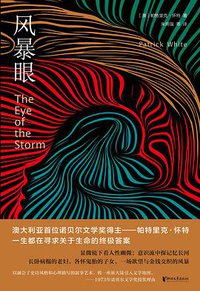 风暴眼 (浙江文艺出版社 2020)