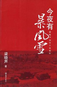 今夜有暴风雪 (文汇出版社 2009)