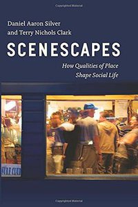 Scenescapes (University Of Chicago Press 2016)