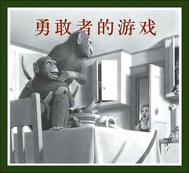 勇敢者的游戏