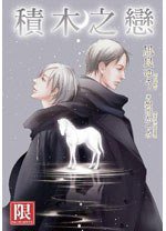積木之戀 (青文 2013)