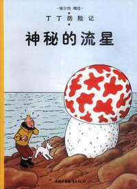 神秘的流星 (中国少年儿童出版社 2001)