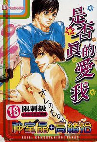 是否真的爱我 (尊龙 2004)