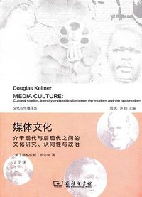 媒体文化