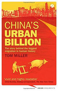 China's Urban Billion (Zed Books 2012)