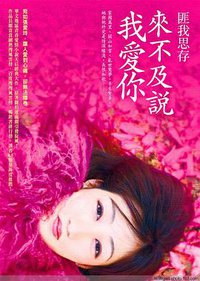 來不及說我愛你 (圓神 2012)