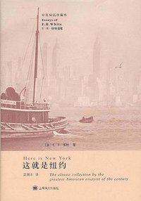 这就是纽约 (上海译文出版社 2011)