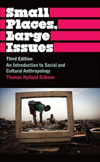 Small Places, Large Issues Third Edition (Pluto Press 2010)