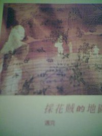 采花贼的地图 (风中细路 1993)