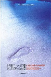 眨眼之间 (中国商业出版社 2010)