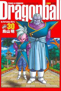 七龍珠完全版 30 (東立出版社)