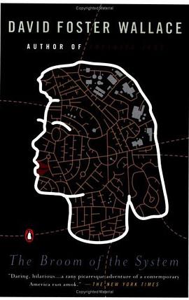 The Broom of the System