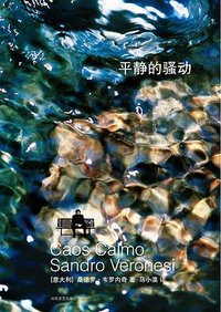 平静的骚动 (山东文艺出版社 2014)
