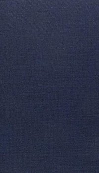 The Last Man (Columbia University Press 1987)