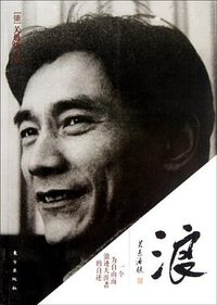 浪 (东方出版社 2012)