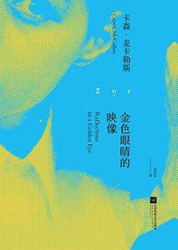 金色眼睛的映像 (江苏凤凰文艺出版社 2017)