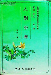 人到中年 (中国文学出版社 1993)