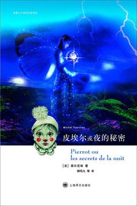 皮埃尔或夜的秘密 (上海译文出版社 2014)