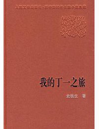 我的丁一之旅 (人民文学出版社 2006)