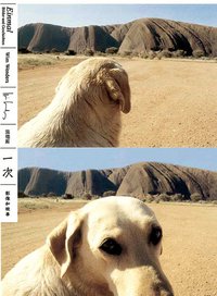 一次：影像和故事 (田園城市 2005)