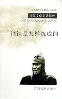 钢铁是怎样炼成的 (广西民族出版社 2002)