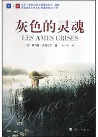 灰色的灵魂 (漓江出版社 2004)