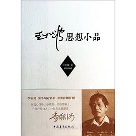 王小波思想小品