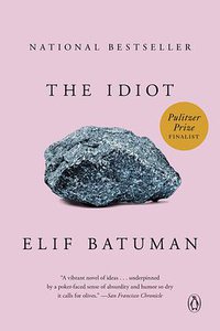 The Idiot (Penguin Books 2018)